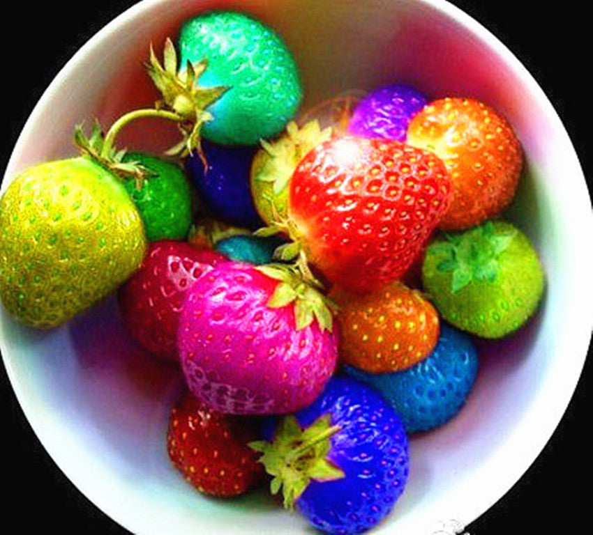 80 seeds/pack color rain bow strawberry seeds fruit Multi-color strawberries seeds flower seed garden pots & planters