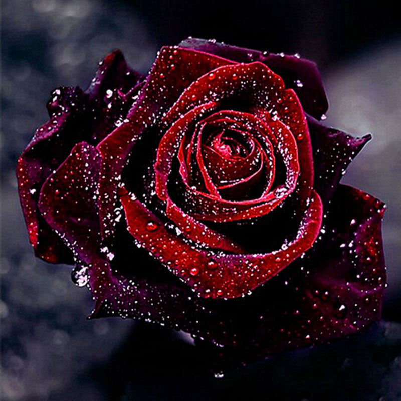 Diamond embroidery 5D flower diamond cross stitch crystal sets unfinished decorative diy diamond painting rose 30cm*30cm