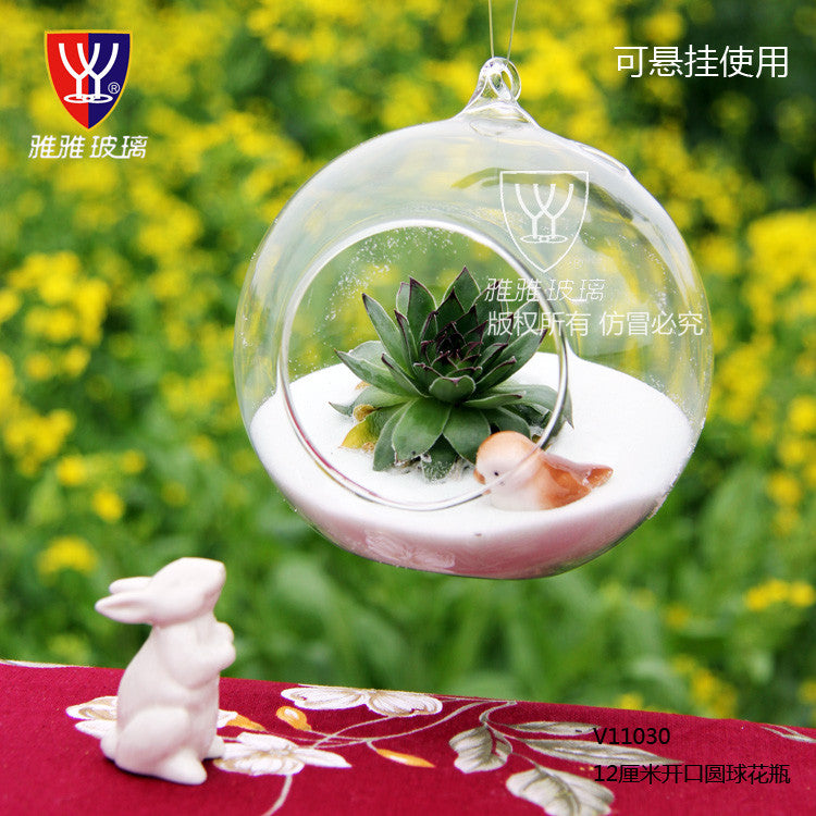 O.RoseLif Brand Cute Handmade Hot Clear Glass Globes With 1 Hole Hanging Plant Terrarium Vase Wedding Home Decoration