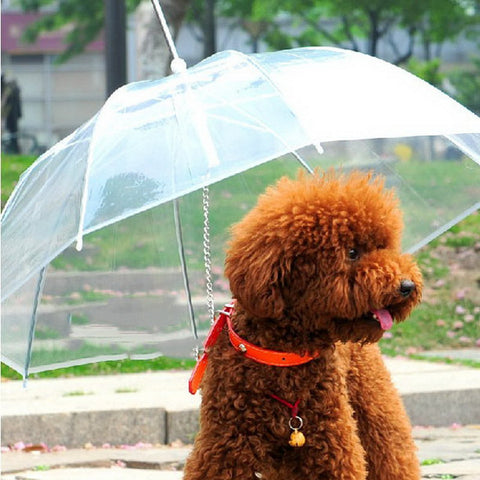 Useful Transparent PE Pet Umbrella Small Dog Umbrella Rain Gear with Dog Leads Keeps Pet Dry Comfortable in Rain Snowing