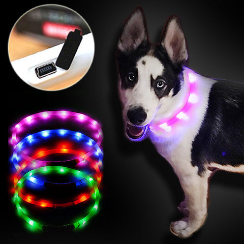Outdoor Dog Collars USB luminous pet collar led light USB charging Cat dog collar Teddy Night Flashing Light Collar Pet supplies