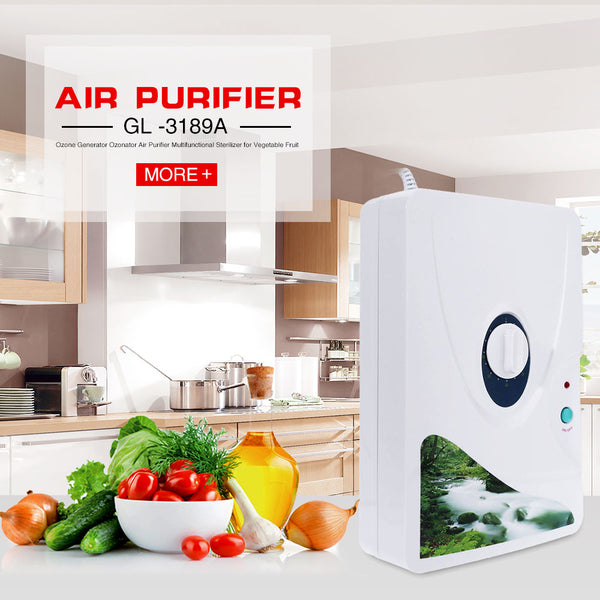2016 New Arrival Air Purifier Portable Ozone Generator Multifunctional Sterilizer Air Purifier for Home Vegetable Fruit Purify
