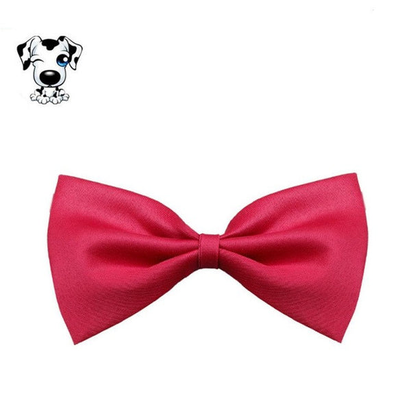 New Qualified New HOT Fashion Cute Dog Puppy Cat Kitten Pet Toy Kid Bow Tie Necktie Clothes  Levert Dropship dig631