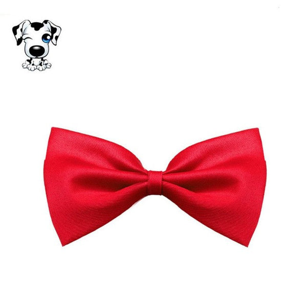 New Qualified New HOT Fashion Cute Dog Puppy Cat Kitten Pet Toy Kid Bow Tie Necktie Clothes  Levert Dropship dig631