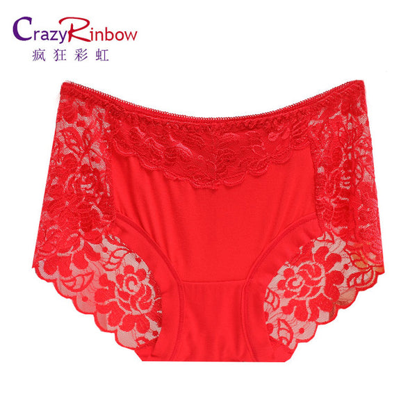 Women underwear briefs sexy women's Panties  full transparent lace seamless string plus size women underwear panty