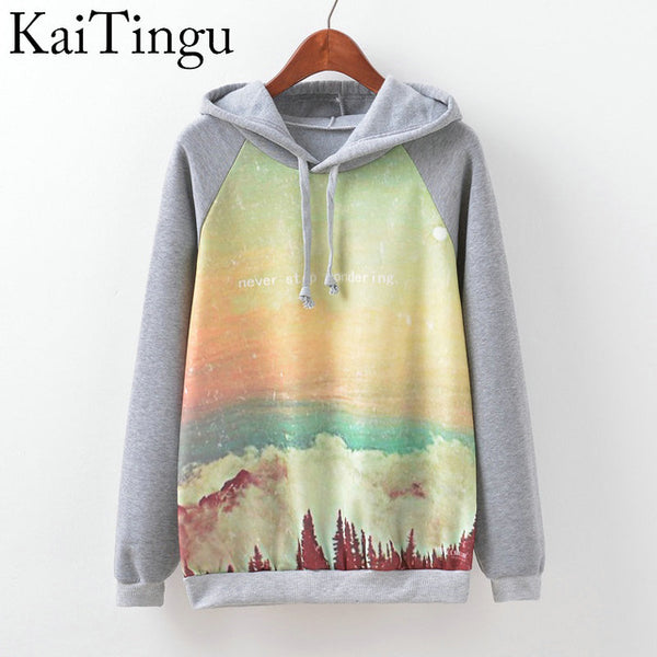 KaiTingu Brand Fashion Autumn Winter Long Sleeve Women Sweatshirt Harajuku Owl Print Hoodies Hooded Tracksuit Jumper Pullover