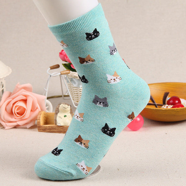 [COAPLACOOL] 5 colors Autumn New sock Animal cartoon cat lovely for women cotton socks