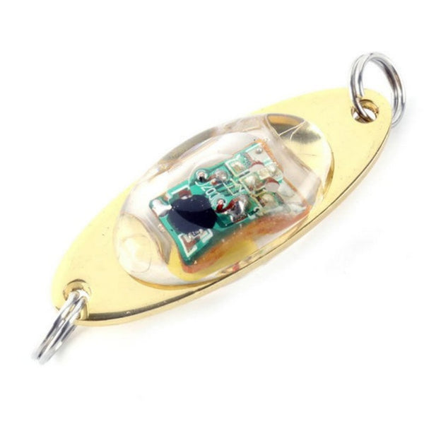 Flash Lamp 6 cm/2.4 inch LED Deep Drop Underwater Eye Shape Fishing Squid Fish Lure Light