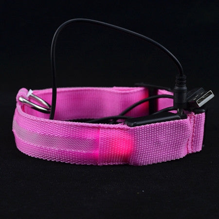 Adjustable Safety Pets Dog LED Flashing Night Light Nylon Collar USB Charging S-XL