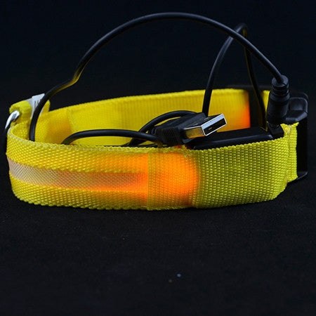 Adjustable Safety Pets Dog LED Flashing Night Light Nylon Collar USB Charging S-XL