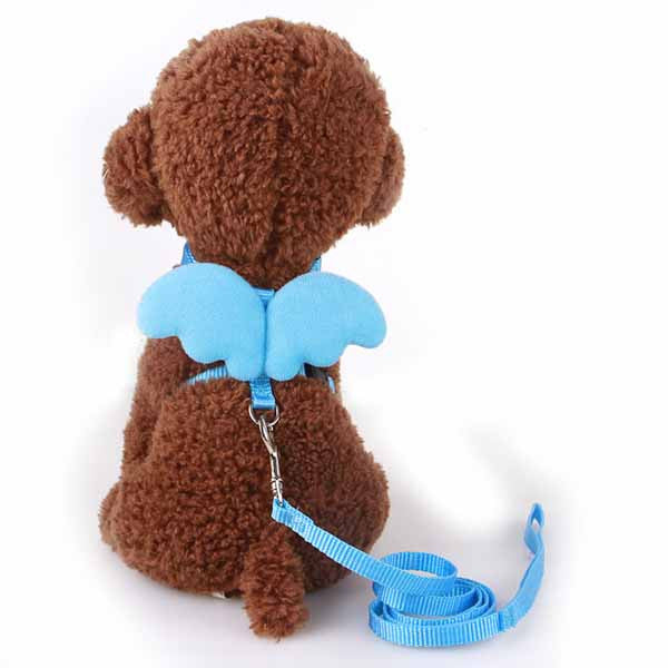 Cute Angel Pet Dog Leashes and Collars Set Puppy Leads for Small Dogs Cats Designer Wing Adjustable Dog Harness Pet Accessories