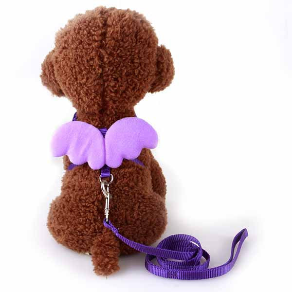 Cute Angel Pet Dog Leashes and Collars Set Puppy Leads for Small Dogs Cats Designer Wing Adjustable Dog Harness Pet Accessories