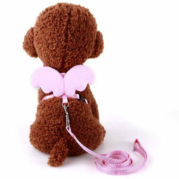 Cute Angel Pet Dog Leashes and Collars Set Puppy Leads for Small Dogs Cats Designer Wing Adjustable Dog Harness Pet Accessories