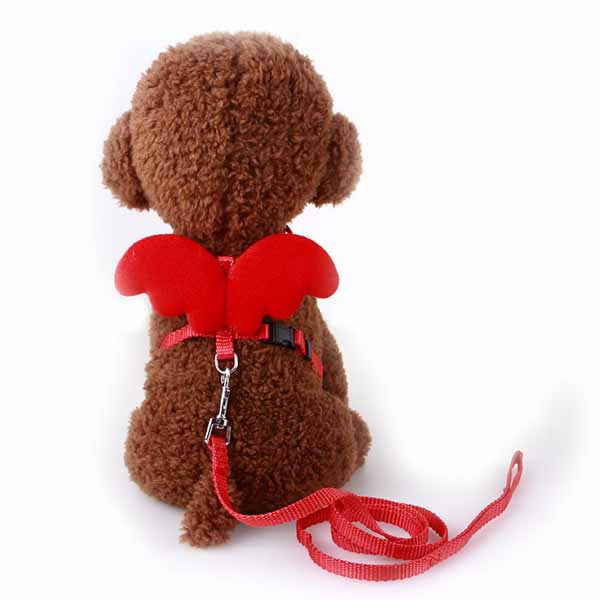 Cute Angel Pet Dog Leashes and Collars Set Puppy Leads for Small Dogs Cats Designer Wing Adjustable Dog Harness Pet Accessories