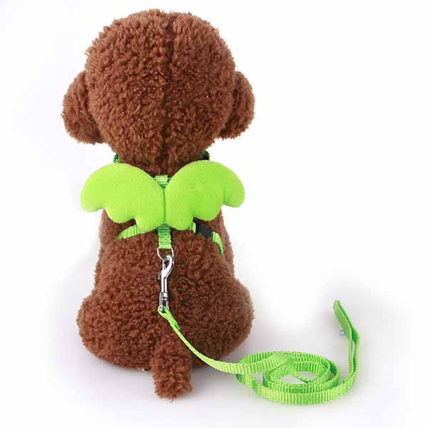 Cute Angel Pet Dog Leashes and Collars Set Puppy Leads for Small Dogs Cats Designer Wing Adjustable Dog Harness Pet Accessories