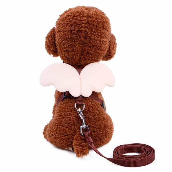 Cute Angel Pet Dog Leashes and Collars Set Puppy Leads for Small Dogs Cats Designer Wing Adjustable Dog Harness Pet Accessories