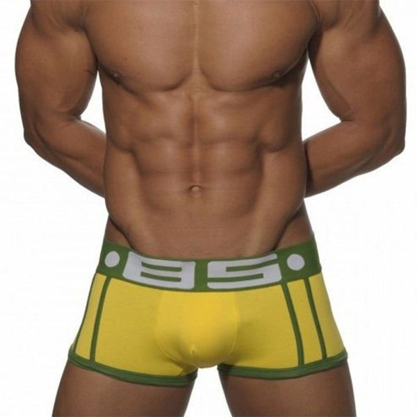 High Quality Brand  Breathable Men Underwear Boxer BS Brand Sexy Cotton Cueca Men Boxer Soft Breathable 5 Colors Men Underpants