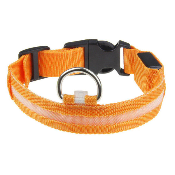 New Qualified Hot selling Safety Pet Collar For Lighted Up Nylon Solid LED Dog Collar Glow Necklace Levert Dropship dig692