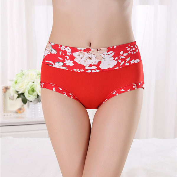 Hot sale Free Shipping Women Underwear Cotton Panties Seamless Sexy Briefs High Quality Calcinha Intimates Underpants Ropa S-4XL