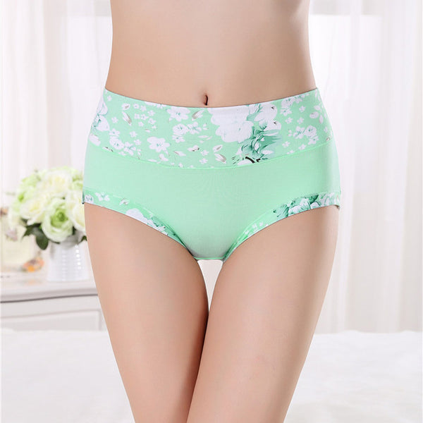 Hot sale Free Shipping Women Underwear Cotton Panties Seamless Sexy Briefs High Quality Calcinha Intimates Underpants Ropa S-4XL