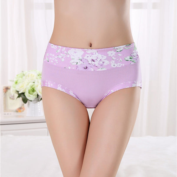 Hot sale Free Shipping Women Underwear Cotton Panties Seamless Sexy Briefs High Quality Calcinha Intimates Underpants Ropa S-4XL