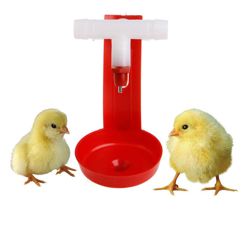 1Pcs New  Automatic Bird Coop Feed Poultry Chicken Fowl Drinker Water Drinking Cups Hanging Chicken For Beauty Tool