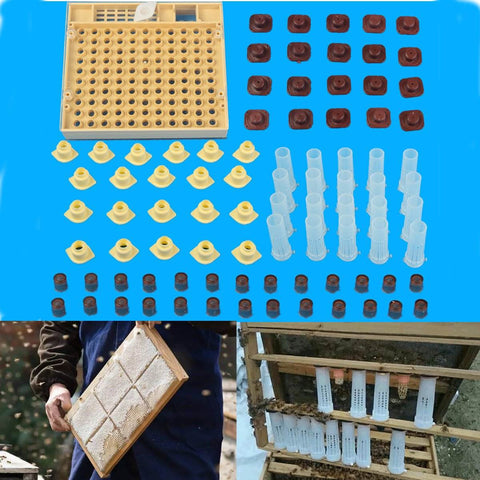 Bee Beekeeping Cell 100 Cups Tool Set Queen Rearing System Bee Nicot Cupkit Complete Catcher Cage Apiculture Helper