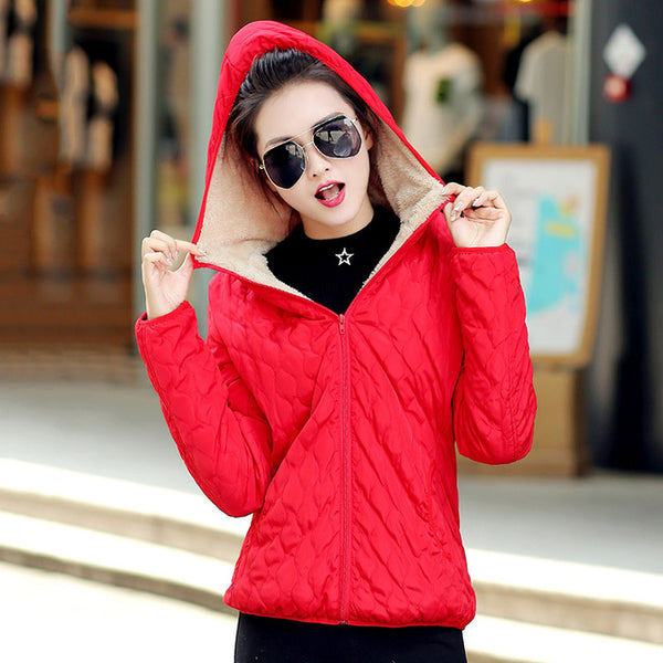 New Arrival Fleece Hooded Winter Jacket Women Parkas 2017 Spring Autumn Brand Casual Warm Long Sleeve Plus Size Coats inverno