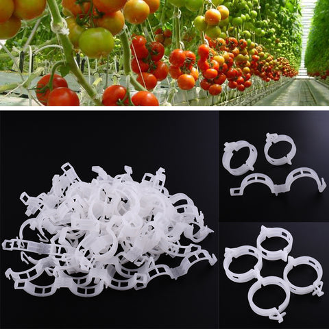 2017*New Durable Clear 50Pcs Plant Support Clips Vine Garden Vegetables 23mm For types plants*Hanging Plastic