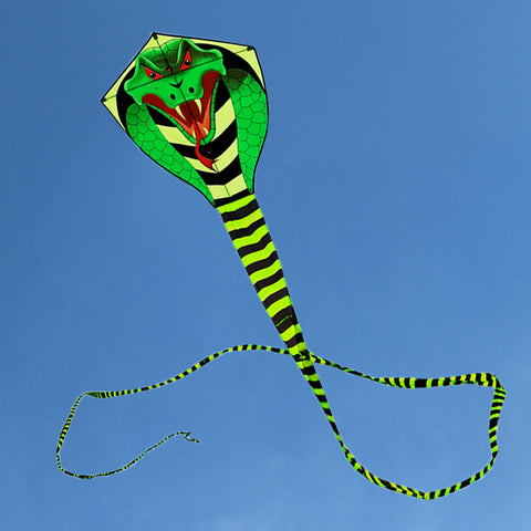 free shipping high quality 15m large snake kite cobra kite with handle line outdoor toys for adult bird kite eagle animal bee