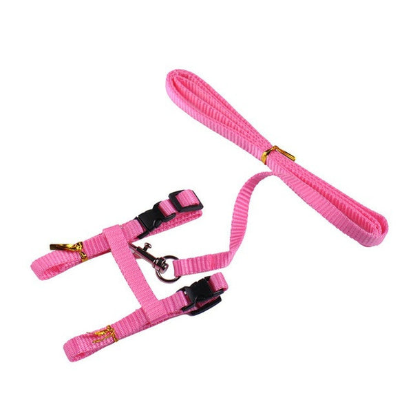 Cat Harness And Leash Hot Sale 4 Colors Nylon Products For Animals Adjustable Pet Traction Harness Belt Cat Kitten Halter Collar