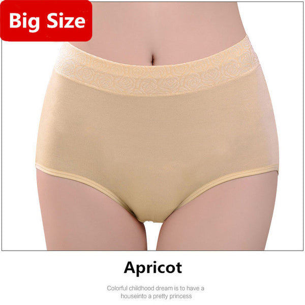 Women Brand Panties Plus Size XXXL Women Underwear Panties Breathable Seamless Big Size Slimming Lingerie Briefs For Ladies