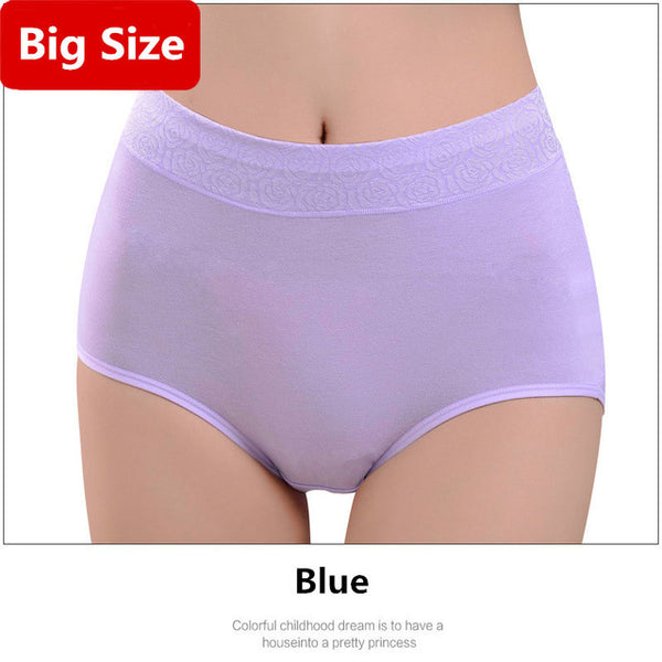 Women Brand Panties Plus Size XXXL Women Underwear Panties Breathable Seamless Big Size Slimming Lingerie Briefs For Ladies