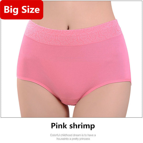 Women Brand Panties Plus Size XXXL Women Underwear Panties Breathable Seamless Big Size Slimming Lingerie Briefs For Ladies