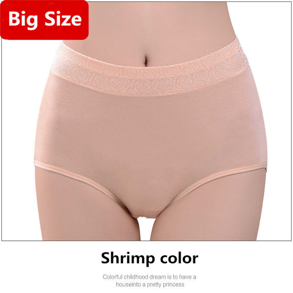 Women Brand Panties Plus Size XXXL Women Underwear Panties Breathable Seamless Big Size Slimming Lingerie Briefs For Ladies