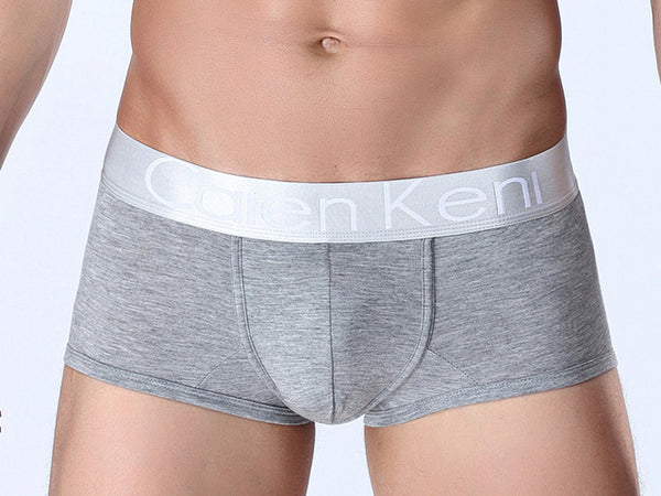 2017 NEW Summer dress Caienkeni  Cotton Underwear Men Boxer Shorts mens underwear Male Panties