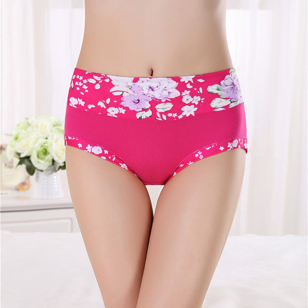 Hot Sale Plus Size Women Underwear Panties Seamless Sexy Briefs High Quality Calcinha Intimates Underpants Ropa lingerie S-4XL