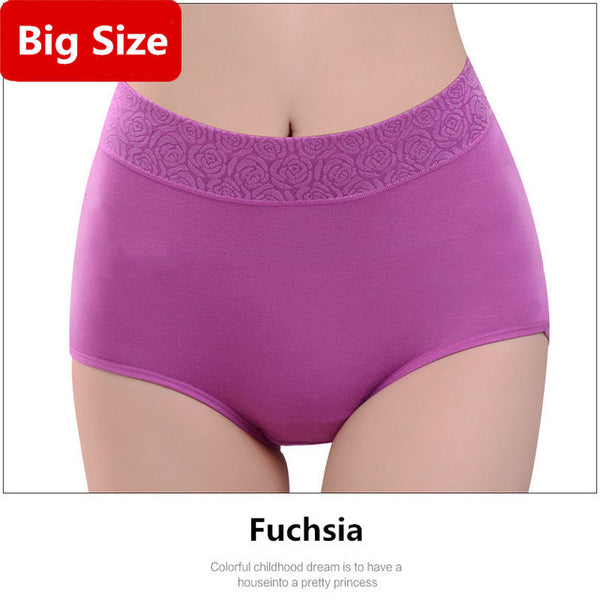 Underwear Women Plus Size Panties Brand Briefs Stretching Breathable Seamless Big Size Slimming Lingerie Female Calcinha Cueca