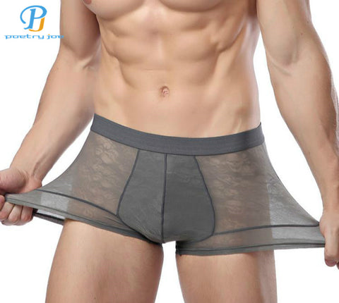 CHENKE365  Men Boxers Underwear Fiber Silk Boxer Spandex spande Underwear Shorts Slip Mens Boxer Shorts Manufacturers