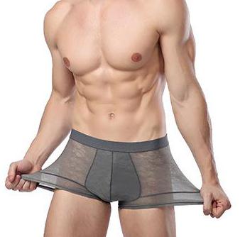 CHENKE365  Men Boxers Underwear Fiber Silk Boxer Spandex spande Underwear Shorts Slip Mens Boxer Shorts Manufacturers