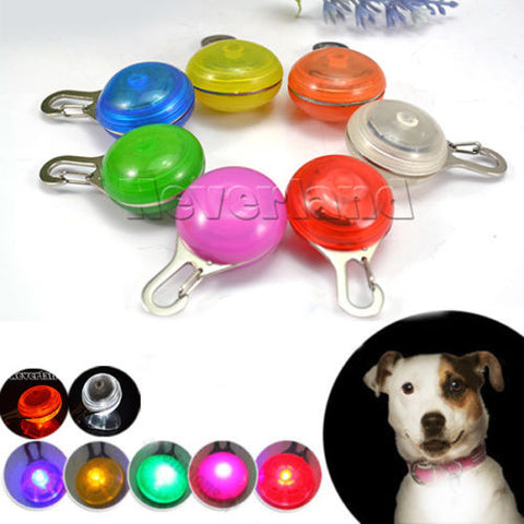 Bright Dog Pet LED Night Safety Flash Light for Collar, Push Button Switch