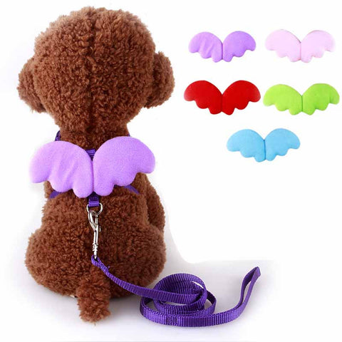 Cute Angel Pet Dog Leashes and Collars Set Puppy Leads for Small Dogs Cats Designer Wing Adjustable Dog Harness Pet Accessories